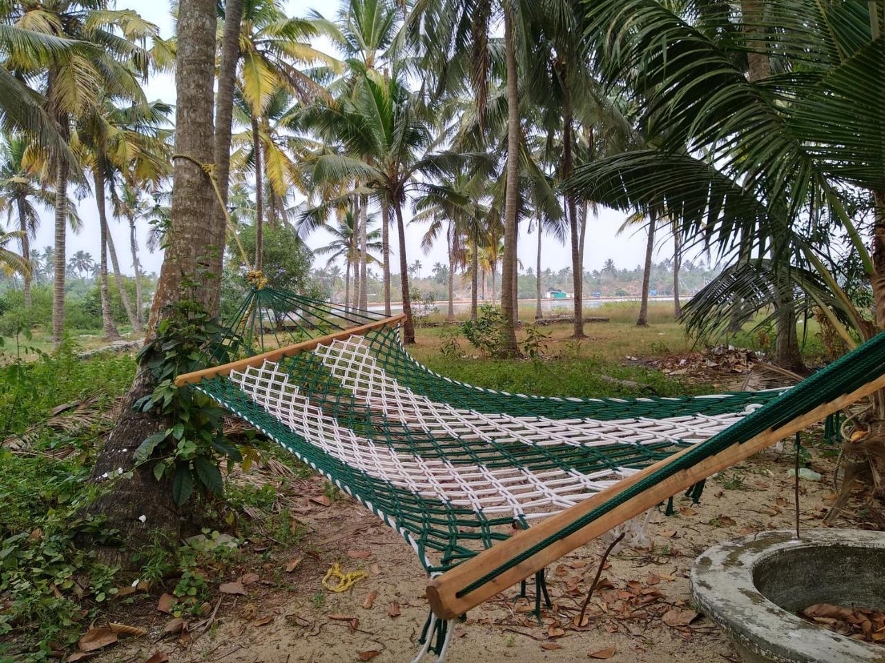 Blue Birds Homestay Cherai Beach Exterior photo